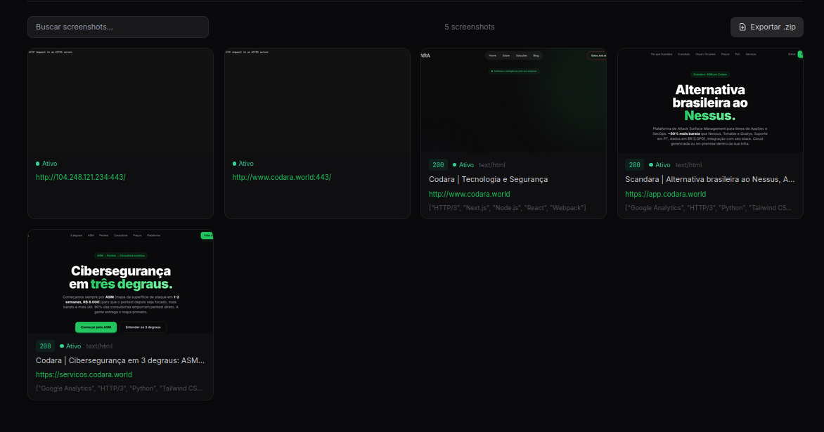 Galeria de capturas automáticas de painéis e logins descobertos